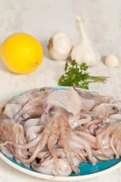 Octopus Stock Photos