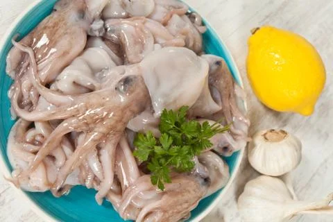 Octopus Stock Photos