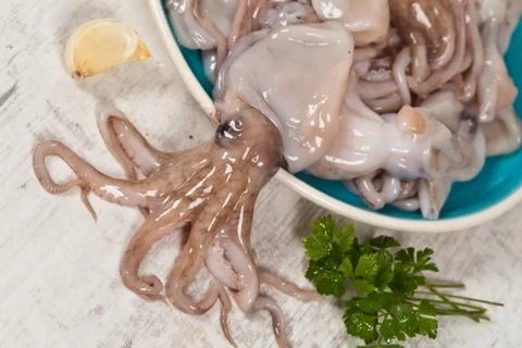 Octopus Stock Photos