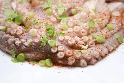Octopus Stock Photos