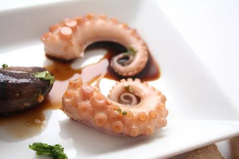 Octopus Stock Photos