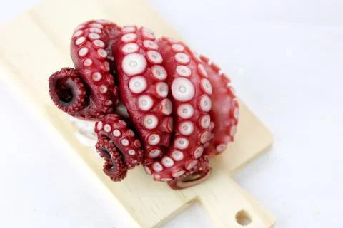 Octopus. Stock Photos