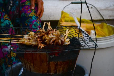 Octopus 库存照片