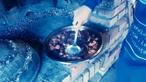 Octopus preparing Stock-Footage 85395341