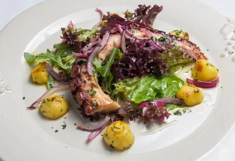 Octopus salad close up. Shallow depth of field. Stock Photos