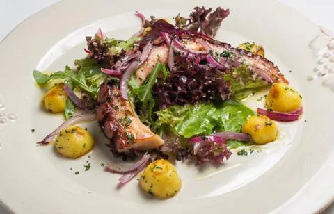 Octopus salad close up. Shallow depth of field. Stock Photos