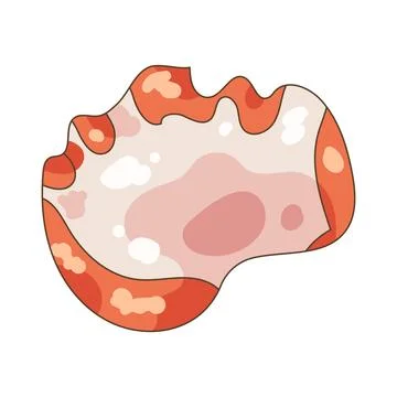 Octopus sashimi Stock Illustration