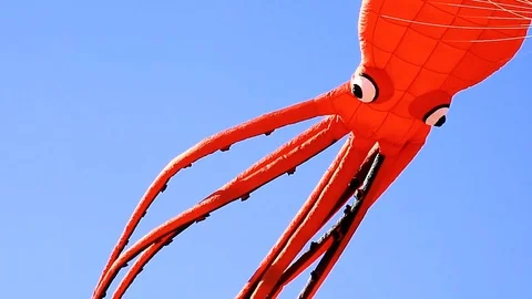 Octopus shaped Kite Stock Footage 107982154