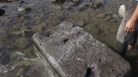 Octopus "slapped" on rocks as part of the tenderizing process Stock Footage 82165545