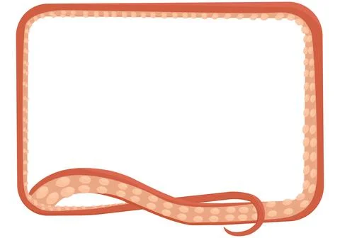 Octopus tentacle rectangular frame isolated vector Stock Illustration