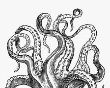 Octopus tentacle vector giant illustration monster sea creature. Octopus  Illustration #205096808