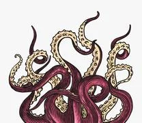 Octopus tentacle vector giant illustration monster sea creature. Octopus  Illustration #205096808