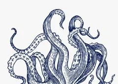 Octopus tentacle vector giant illustration monster sea creature. Octopus  Illustration #205096808
