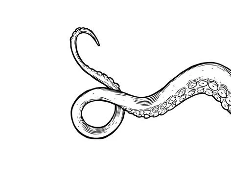 Octopus tentacles 스톡 일러스트