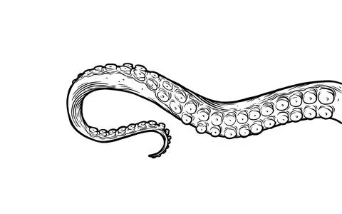 Octopus tentacles Stock Illustration