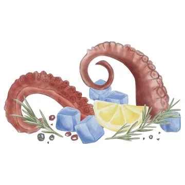 Octopus tentacles surrounded by ice cubes, lemon, rosemary, and red and black Stock Illustration