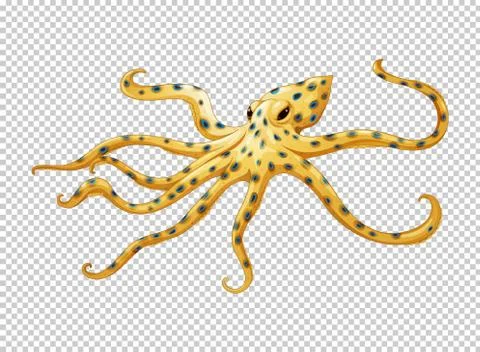 Octopus on transparent background Stock-Illustration