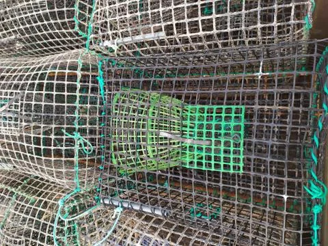 Octopus trap Foto stock