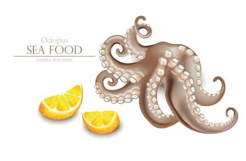 Octopus Vector realistic isolated on white. 3d detailed illustrations Stock Illustration