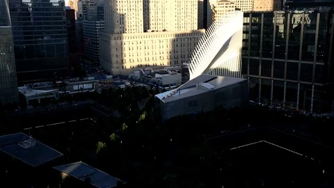 Oculus Stock Footage 82217231