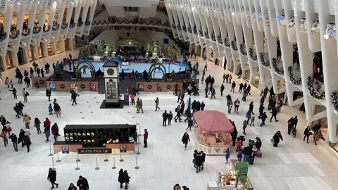 The Oculus Stock Footage 310616472