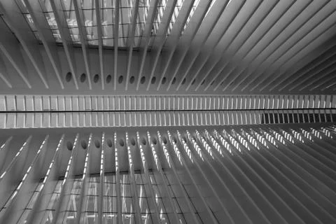 Oculus in Shadow Stock Photos