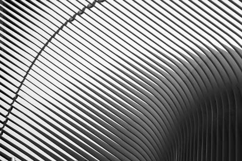 Oculus in Shadow Stock Photos