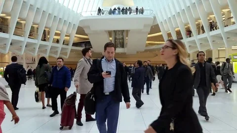 Oculus Train Station New York Passengers Timelapse Stock Footage 76319995