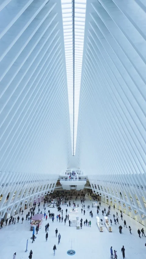 Oculus Transit Hall Beneath White Architectural Beams Vertical Stock Footage 335393911