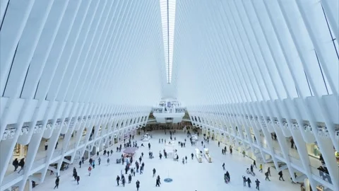 Oculus World Trade Center Interior Beneath White Architectural Ceiling Stock Footage 336038489