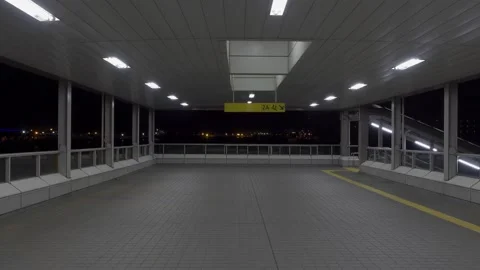 Odaiba Night Stock Footage 147652153