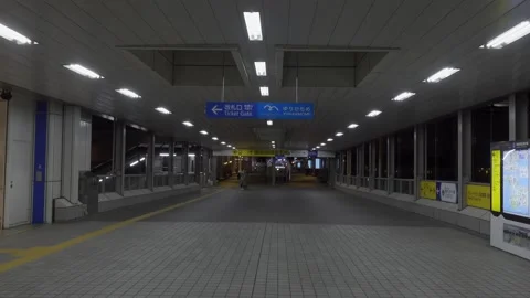 Odaiba Night Video stock 147652167