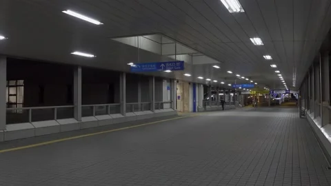 Odaiba Night Stock Footage 147652197