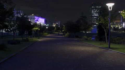 Odaiba Night Stock Footage 147652219