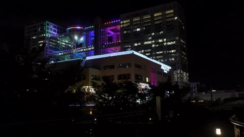 Odaiba Night Stock Footage 147652575