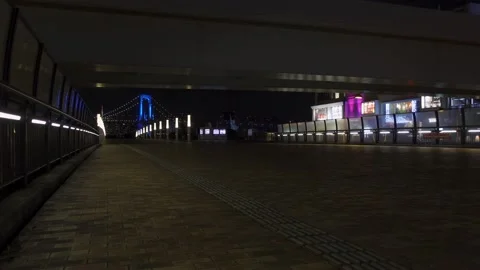 Odaiba Night Stock Footage 147652720