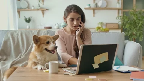 Oday's generation Uses Remotely Work From Home. A Pretty Woman Working With A Video stock 139831928