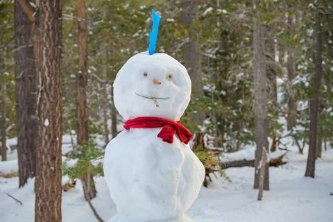 Odd looking snow creatures Stock Photos