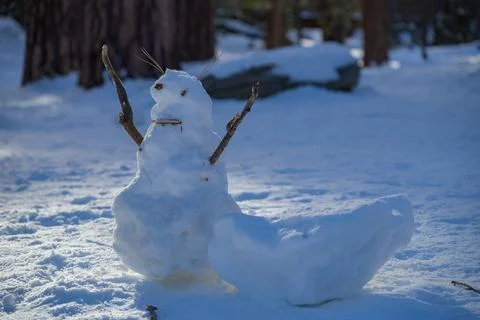 Odd looking snow creatures Stock Photos