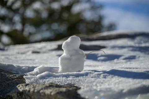 Odd looking snow creatures Fotos Stock