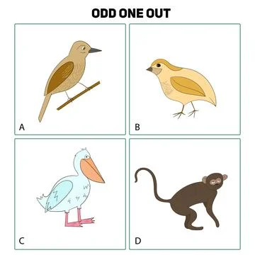 Odd one out child game vector illustration Stock Illustration