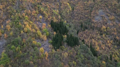 Odda Stock Footage 260713614