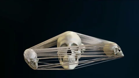 Oddly satisfying animation of  skulls web. seamless loop, realistic 3d render Stock Footage 166325264