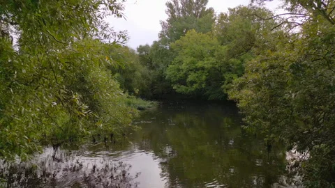 Odense stream Stock Footage 251321182