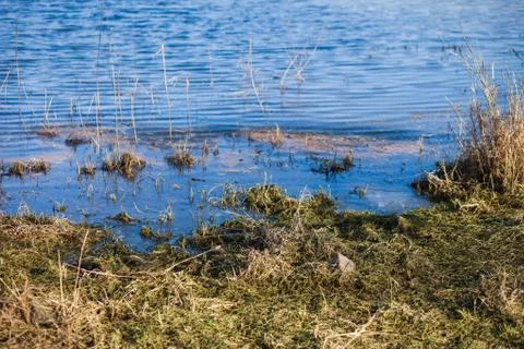 Oder River Foto stock