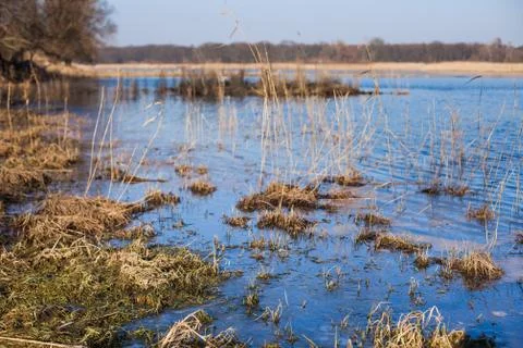 Oder River Stock Photos
