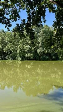 The Oder River with trees growing on the banks. Poland Stock Photos