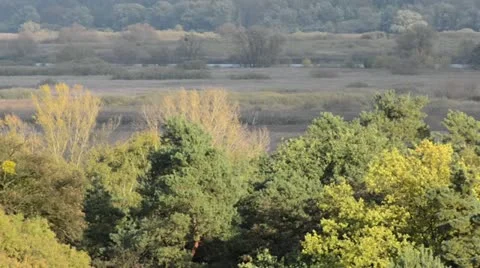 Oder River Valley between Gartz and Mescherin, Unteres Odertal National Park, Stock Footage 12906194