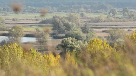 Oder River Valley between Gartz and Mescherin, Unteres Odertal National Park, Stock Footage 12909261