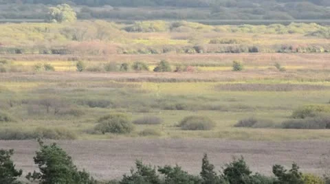 Oder River Valley between Gartz and Mescherin, Unteres Odertal National Park, Stock Footage 18078640